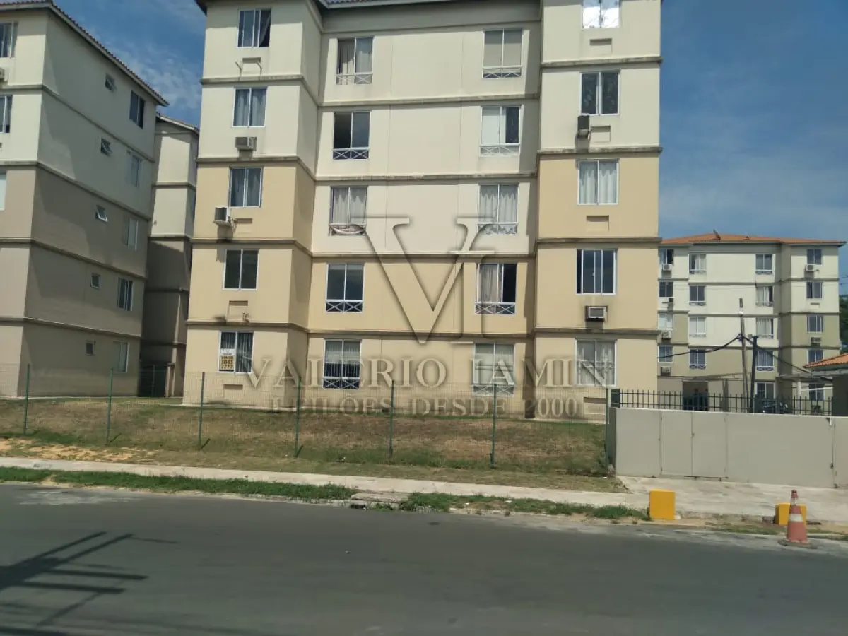 LOTE 597