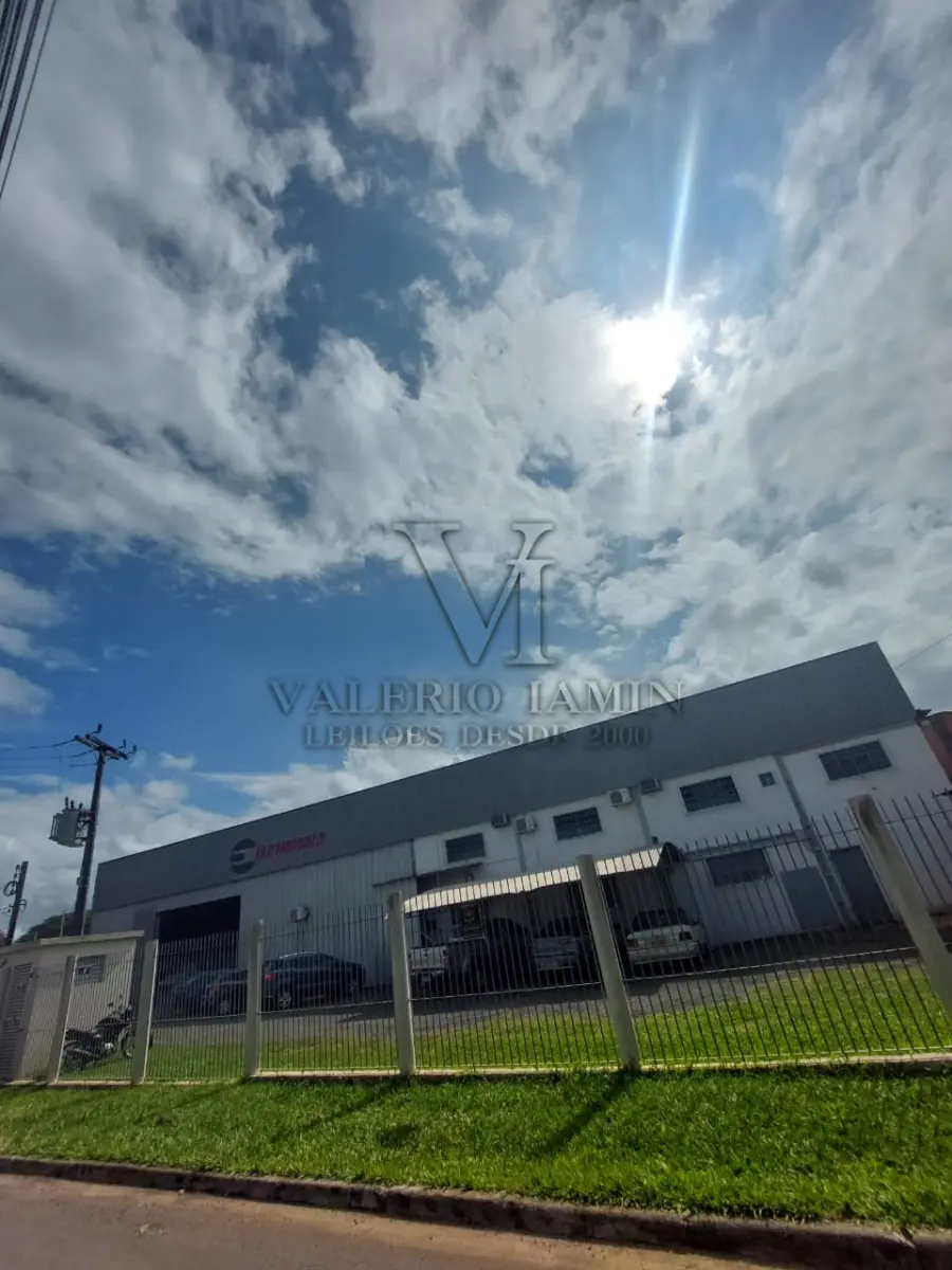 LOTE 509