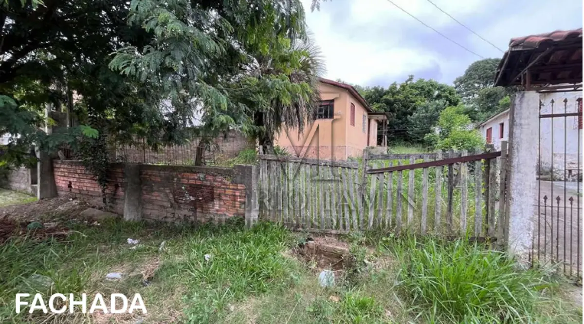 LOTE 571