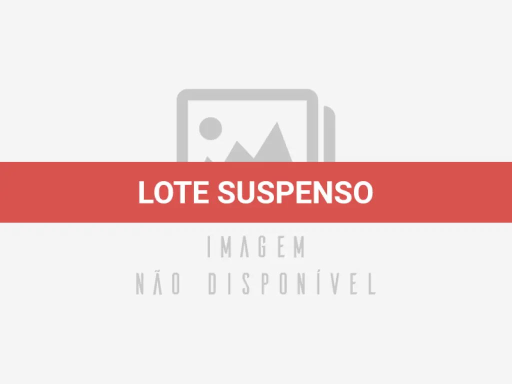 LOTE 594