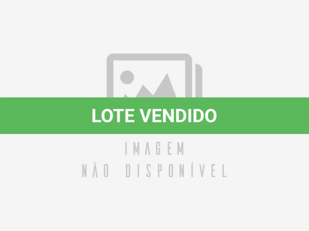LOTE 591