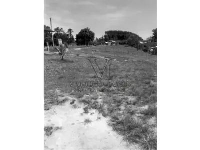 LOTE 431 - AREA DE TERRA COM 24,00 Hec, AREA DE TERRAS COM 4,48 Hec, UM GALPÃO DE ALVENÁRIA 28X20m,UMA CASA EM ALVENÁRIA 14,00X10,30m