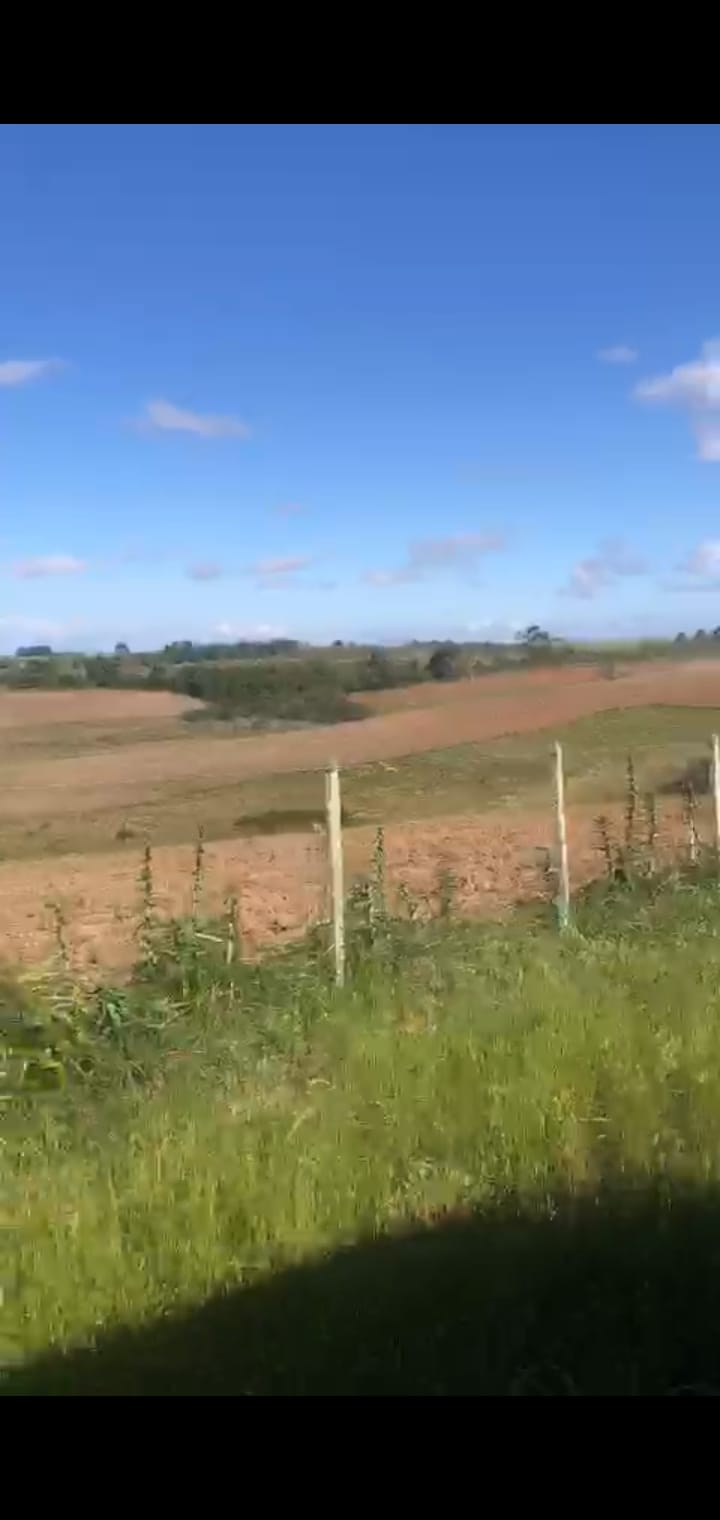 UMA FRAÇÃO DE CAMPO EM SÃO LOURENÇO